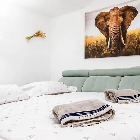 Casa Arino Casco Antiguo Arcade Jugar * Zaragoza